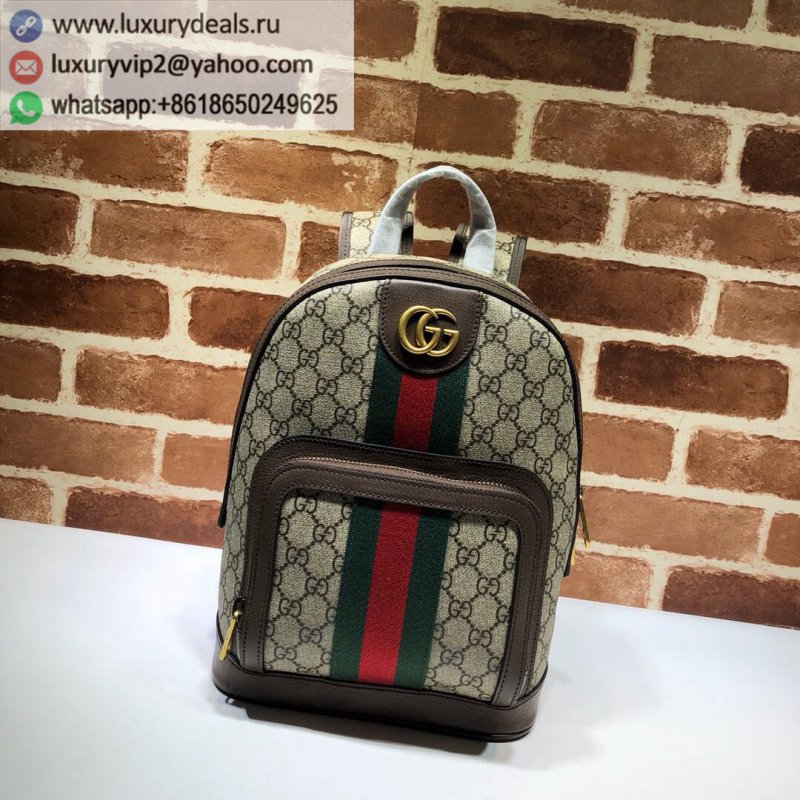 GUCCI Ophidia series Small GG backpack 547965