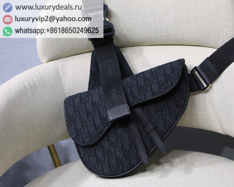 Dior Pre-Fall saddle bag M9019 black