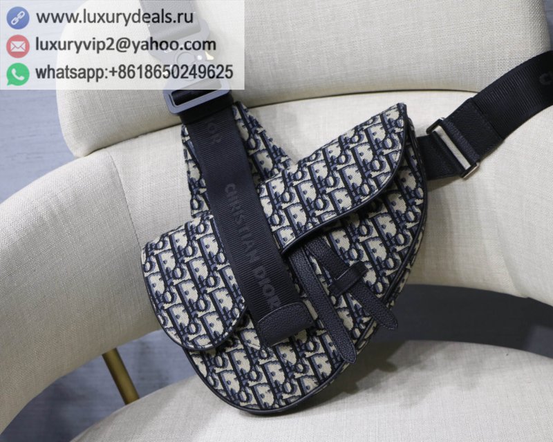Dior Pre-Fall saddle bag M9019 blue