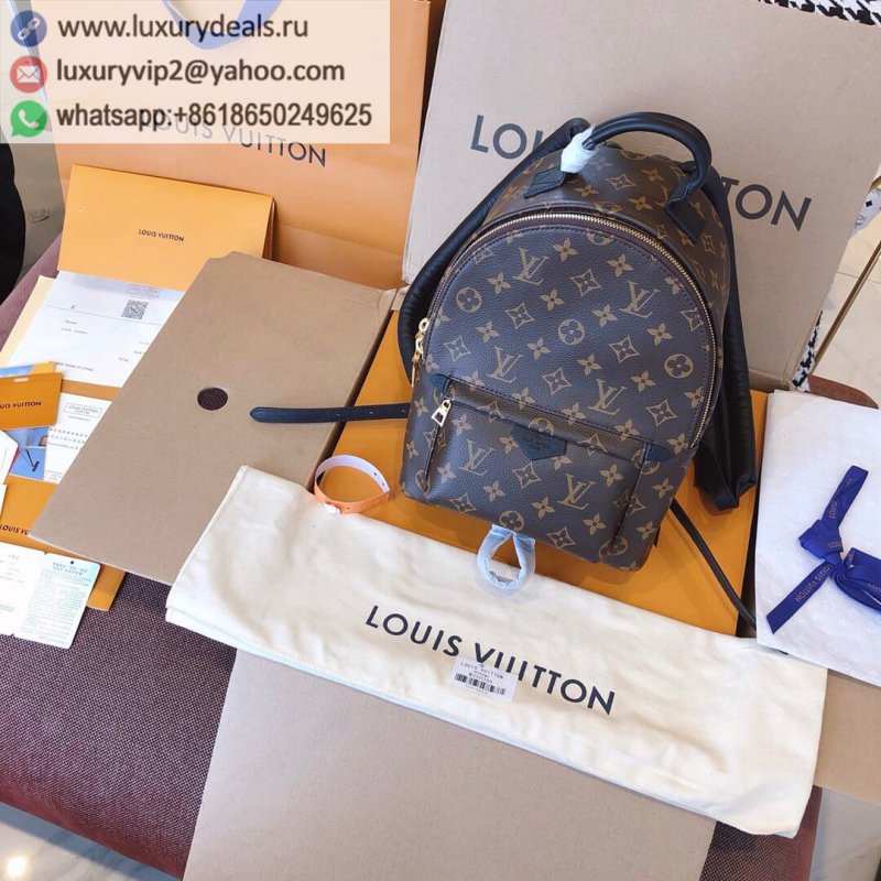 Louis Vuitton Palm Springs PM Small Backpack M44871