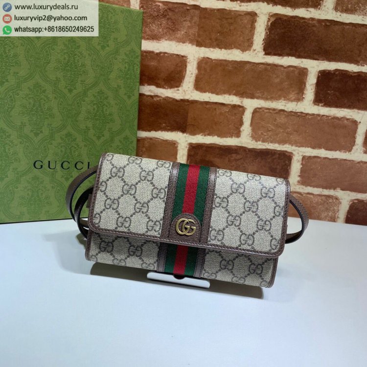 Gucci DOphidia mini 645082 Women Shoulder Bags