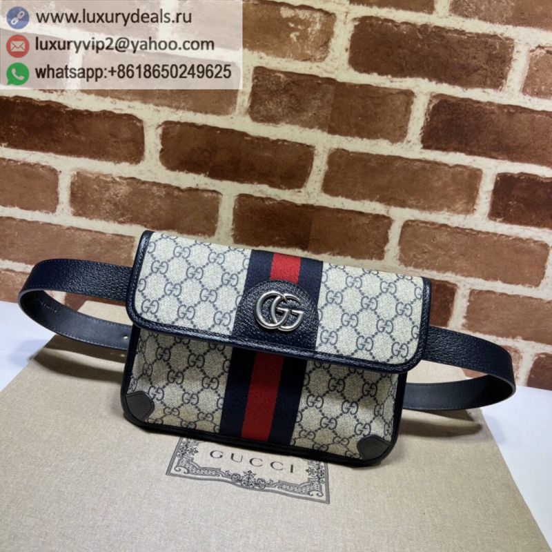 GUCCI Ophidia# Fanny Packs 674081
