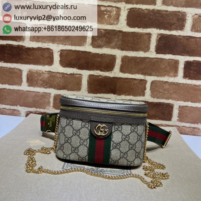 GUCCI Ophidia# Fanny Packs 699765