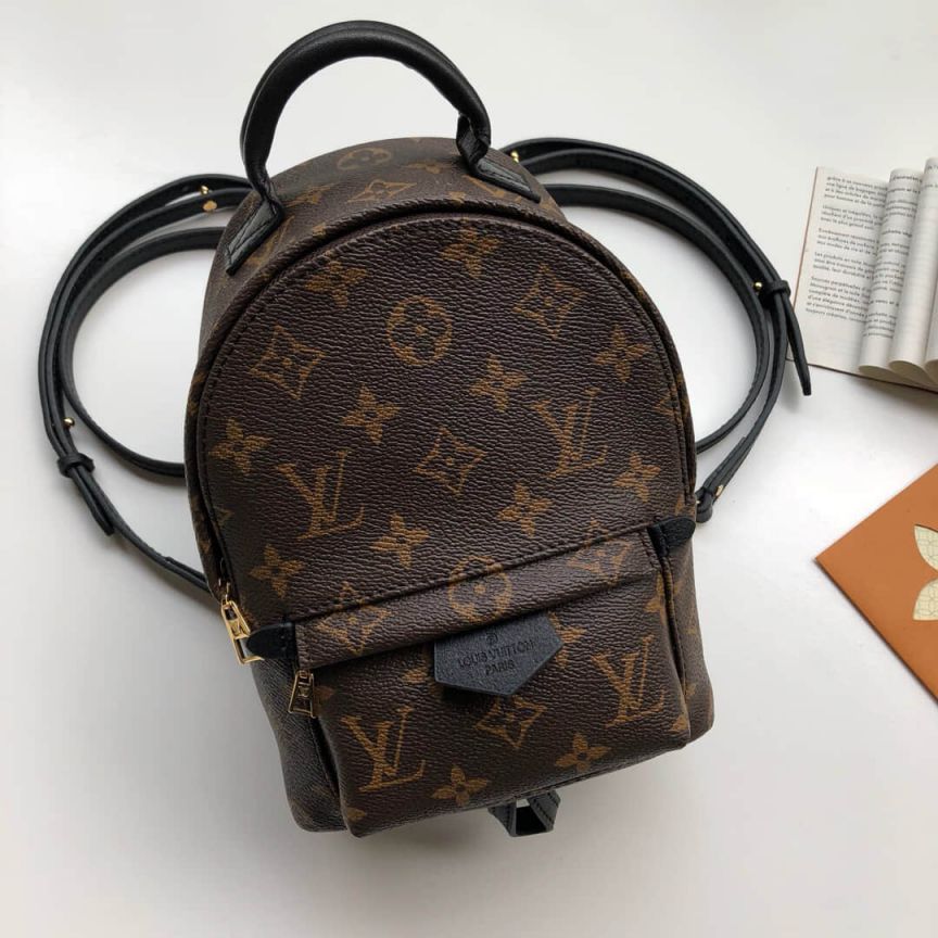 LV Backpack Bags M41562