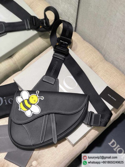 Dior Kaws Homme Saddle Bag Bee Fanny Packs