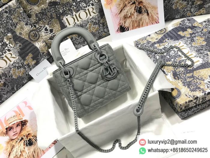 Dior Lady Leather flap Gray Tote Bags