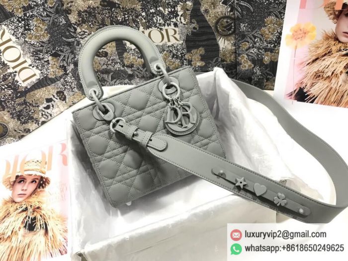 Lady Dior My Gray Tote Bags