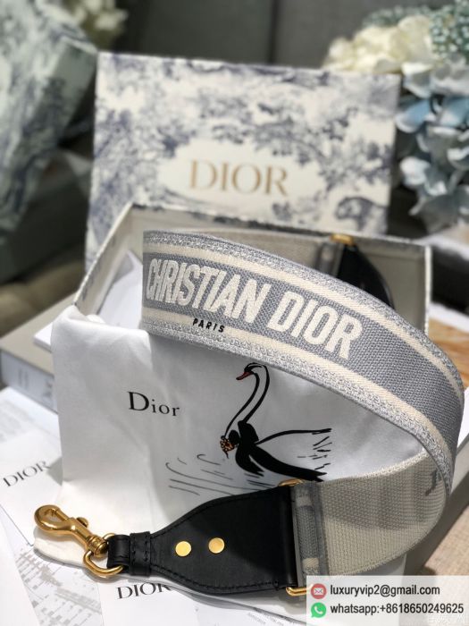 replica women Dior bags