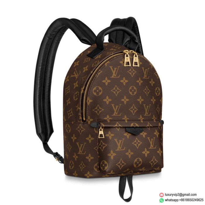 LV M44871 Palm Springs PM Small Backpack Bags