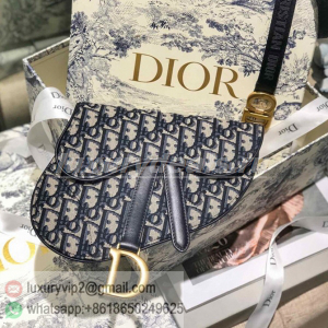 Dior saddle waist bag