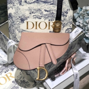 Dior saddle bag
